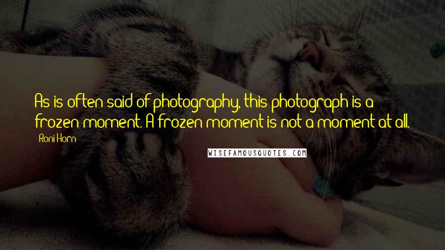Roni Horn Quotes: As is often said of photography, this photograph is a frozen moment. A frozen moment is not a moment at all.