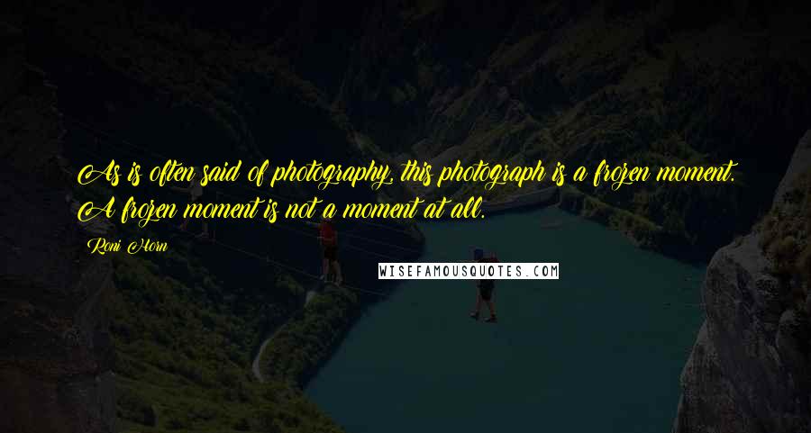Roni Horn Quotes: As is often said of photography, this photograph is a frozen moment. A frozen moment is not a moment at all.