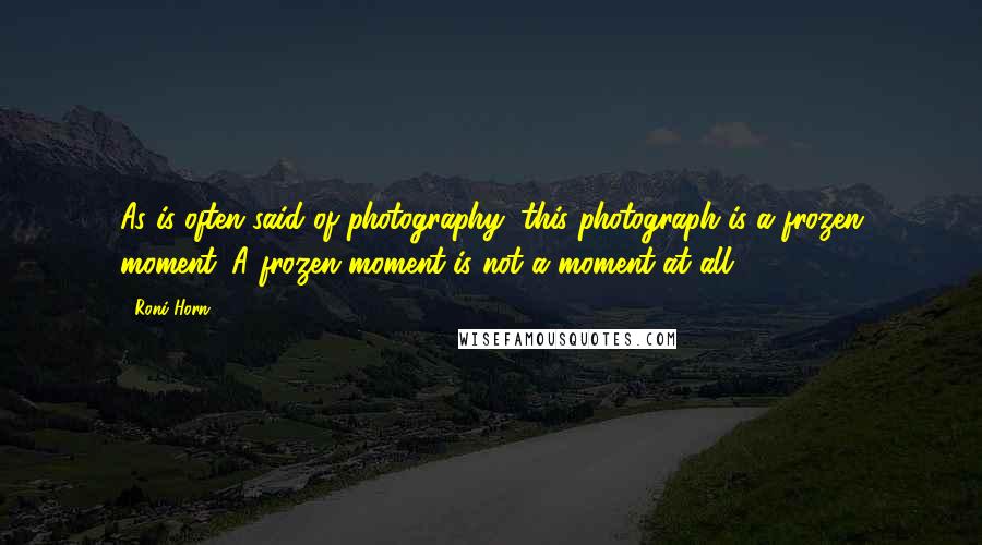 Roni Horn Quotes: As is often said of photography, this photograph is a frozen moment. A frozen moment is not a moment at all.