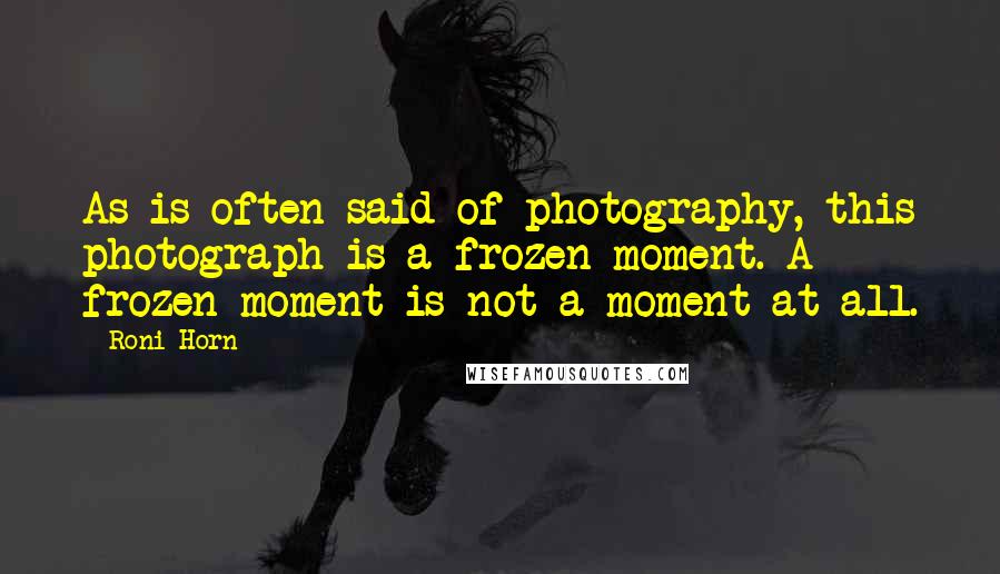 Roni Horn Quotes: As is often said of photography, this photograph is a frozen moment. A frozen moment is not a moment at all.