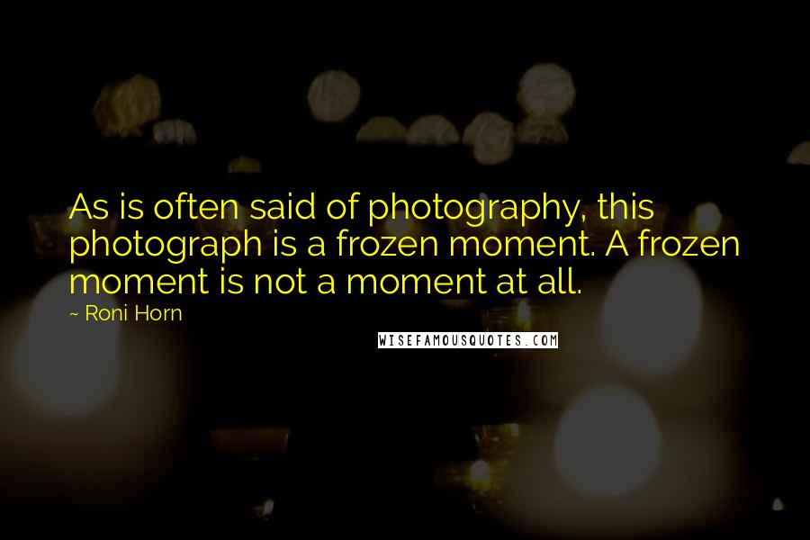 Roni Horn Quotes: As is often said of photography, this photograph is a frozen moment. A frozen moment is not a moment at all.