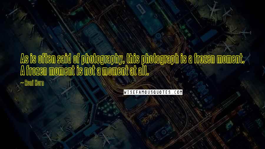 Roni Horn Quotes: As is often said of photography, this photograph is a frozen moment. A frozen moment is not a moment at all.