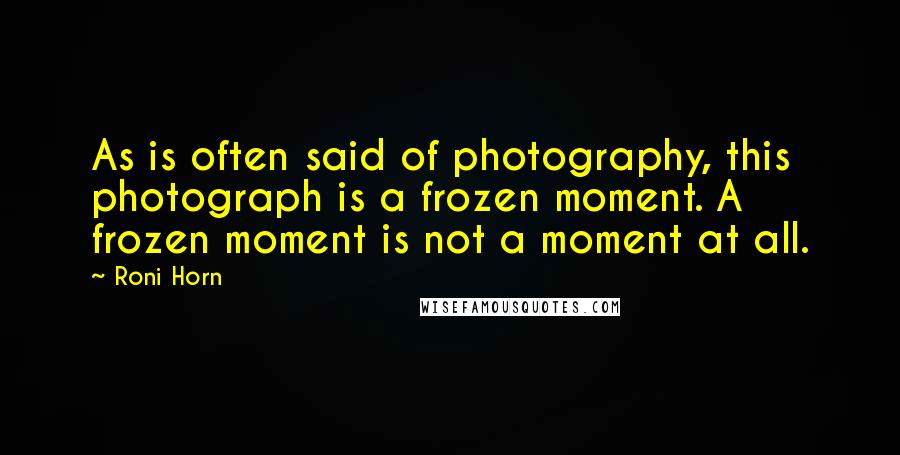 Roni Horn Quotes: As is often said of photography, this photograph is a frozen moment. A frozen moment is not a moment at all.