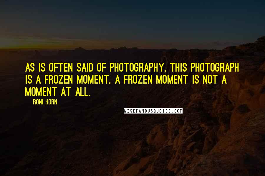 Roni Horn Quotes: As is often said of photography, this photograph is a frozen moment. A frozen moment is not a moment at all.