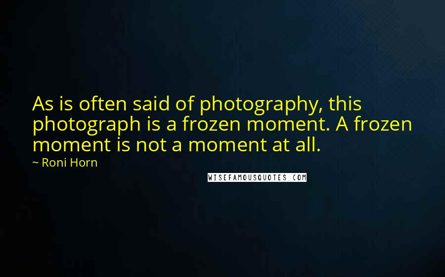 Roni Horn Quotes: As is often said of photography, this photograph is a frozen moment. A frozen moment is not a moment at all.