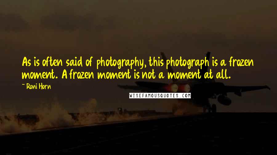 Roni Horn Quotes: As is often said of photography, this photograph is a frozen moment. A frozen moment is not a moment at all.