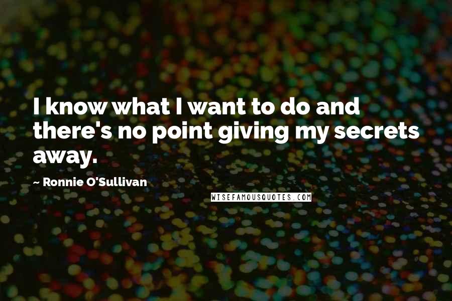 Ronnie O'Sullivan Quotes: I know what I want to do and there's no point giving my secrets away.