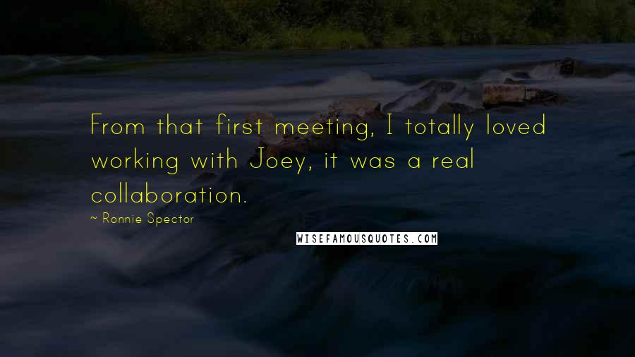 Ronnie Spector Quotes: From that first meeting, I totally loved working with Joey, it was a real collaboration.