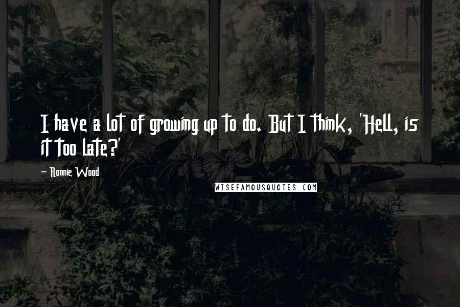 Ronnie Wood Quotes: I have a lot of growing up to do. But I think, 'Hell, is it too late?'