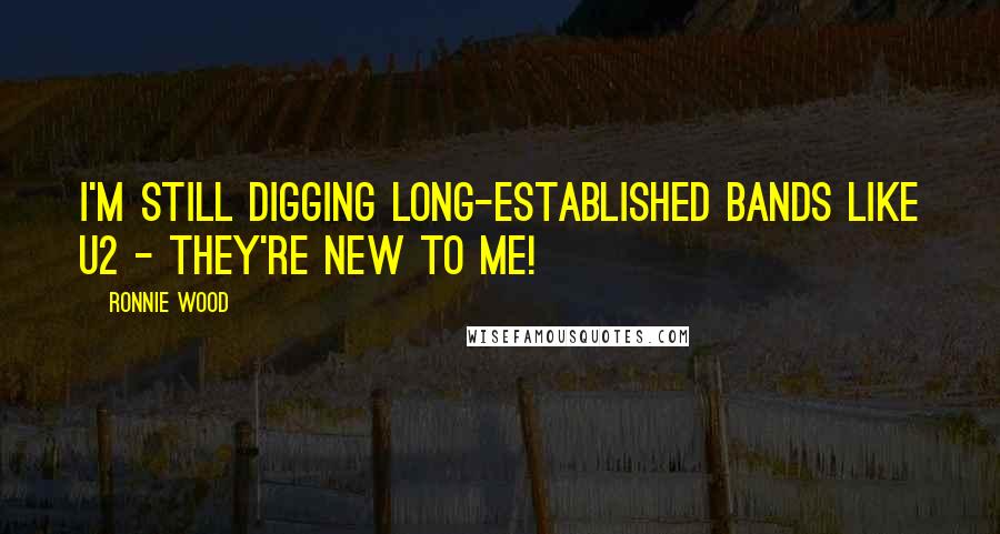 Ronnie Wood Quotes: I'm still digging long-established bands like U2 - they're new to me!