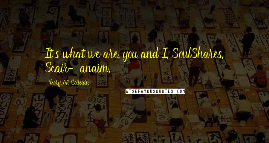 Rory Ni Coileain Quotes: It's what we are, you and I. SoulShares. Scair-anaim.