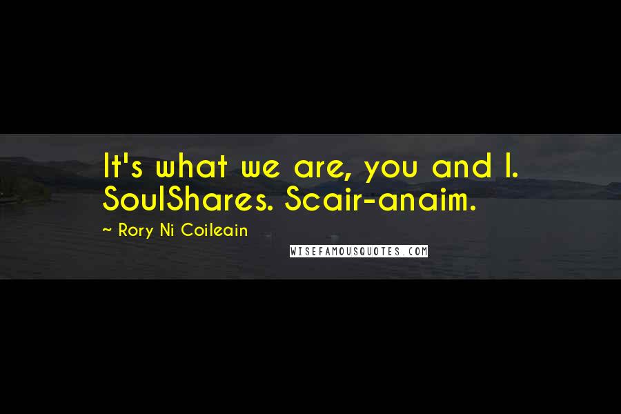 Rory Ni Coileain Quotes: It's what we are, you and I. SoulShares. Scair-anaim.