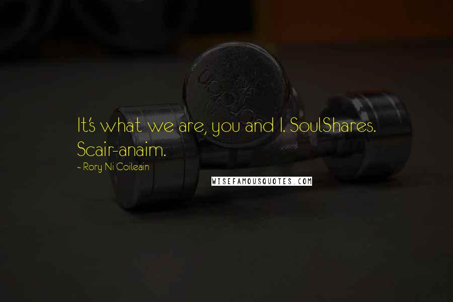 Rory Ni Coileain Quotes: It's what we are, you and I. SoulShares. Scair-anaim.