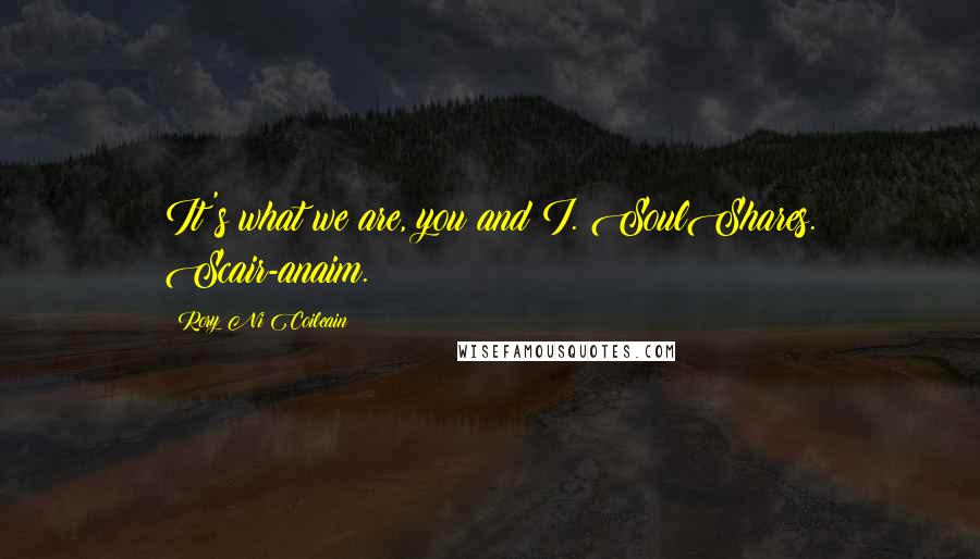 Rory Ni Coileain Quotes: It's what we are, you and I. SoulShares. Scair-anaim.