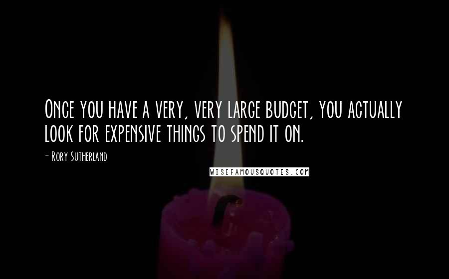 Rory Sutherland Quotes: Once you have a very, very large budget, you actually look for expensive things to spend it on.