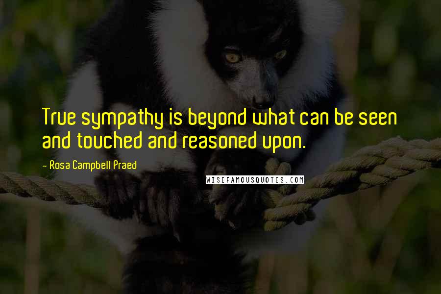 Rosa Campbell Praed Quotes: True sympathy is beyond what can be seen and touched and reasoned upon.