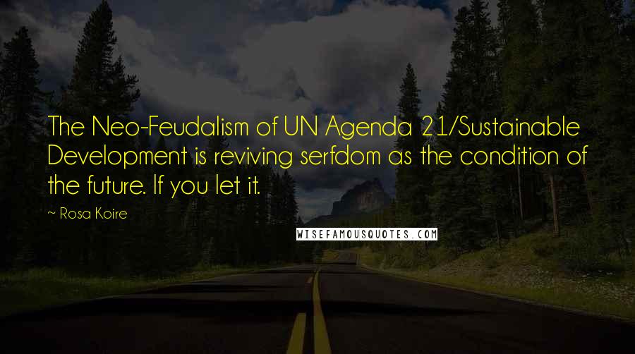 Rosa Koire Quotes: The Neo-Feudalism of UN Agenda 21/Sustainable Development is reviving serfdom as the condition of the future. If you let it.