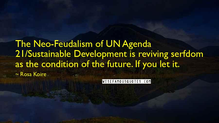 Rosa Koire Quotes: The Neo-Feudalism of UN Agenda 21/Sustainable Development is reviving serfdom as the condition of the future. If you let it.