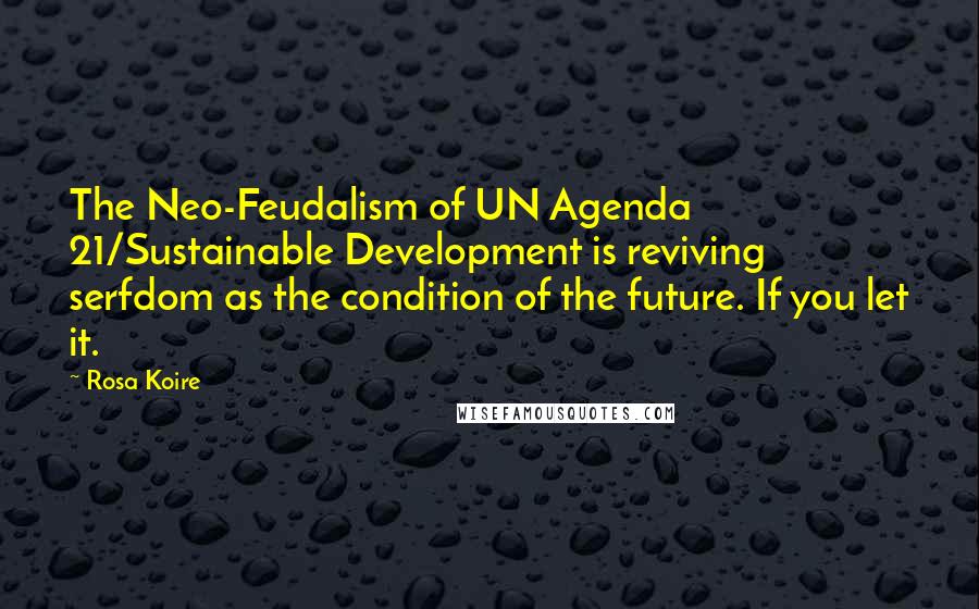 Rosa Koire Quotes: The Neo-Feudalism of UN Agenda 21/Sustainable Development is reviving serfdom as the condition of the future. If you let it.