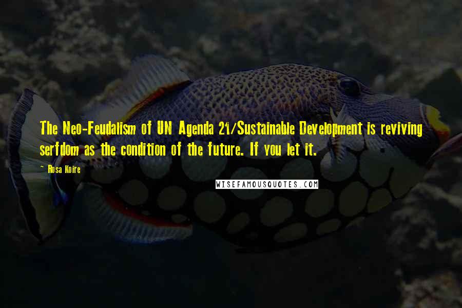 Rosa Koire Quotes: The Neo-Feudalism of UN Agenda 21/Sustainable Development is reviving serfdom as the condition of the future. If you let it.