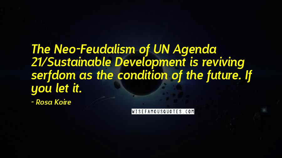 Rosa Koire Quotes: The Neo-Feudalism of UN Agenda 21/Sustainable Development is reviving serfdom as the condition of the future. If you let it.