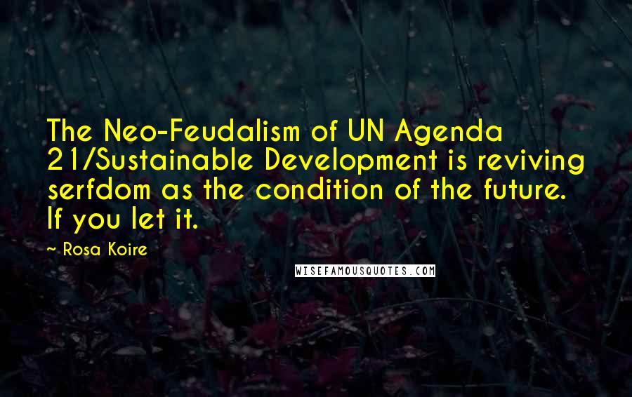 Rosa Koire Quotes: The Neo-Feudalism of UN Agenda 21/Sustainable Development is reviving serfdom as the condition of the future. If you let it.