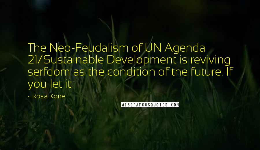 Rosa Koire Quotes: The Neo-Feudalism of UN Agenda 21/Sustainable Development is reviving serfdom as the condition of the future. If you let it.