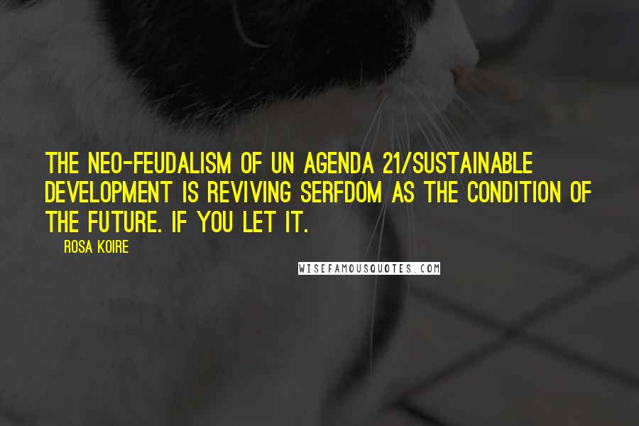 Rosa Koire Quotes: The Neo-Feudalism of UN Agenda 21/Sustainable Development is reviving serfdom as the condition of the future. If you let it.