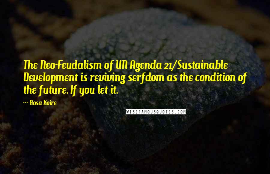 Rosa Koire Quotes: The Neo-Feudalism of UN Agenda 21/Sustainable Development is reviving serfdom as the condition of the future. If you let it.