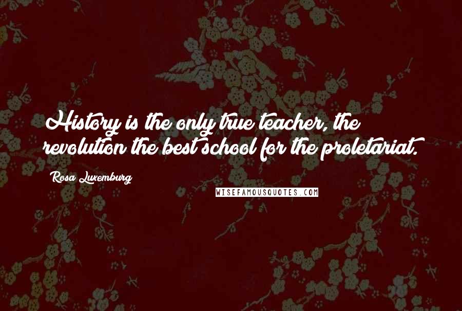 Rosa Luxemburg Quotes: History is the only true teacher, the revolution the best school for the proletariat.