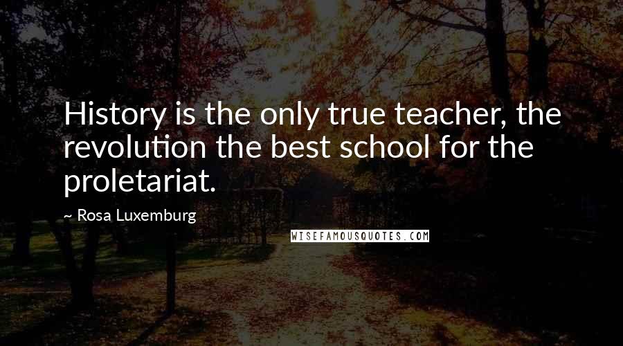 Rosa Luxemburg Quotes: History is the only true teacher, the revolution the best school for the proletariat.