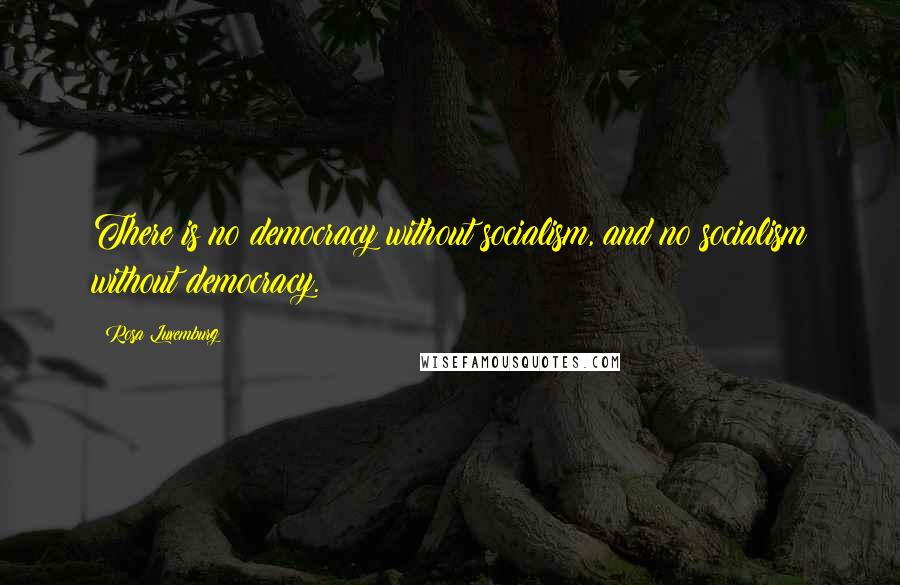 Rosa Luxemburg Quotes: There is no democracy without socialism, and no socialism without democracy.
