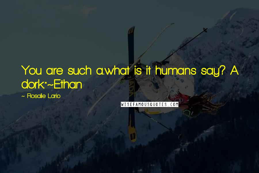 Rosalie Lario Quotes: You are such a...what is it humans say? A dork."~Ethan
