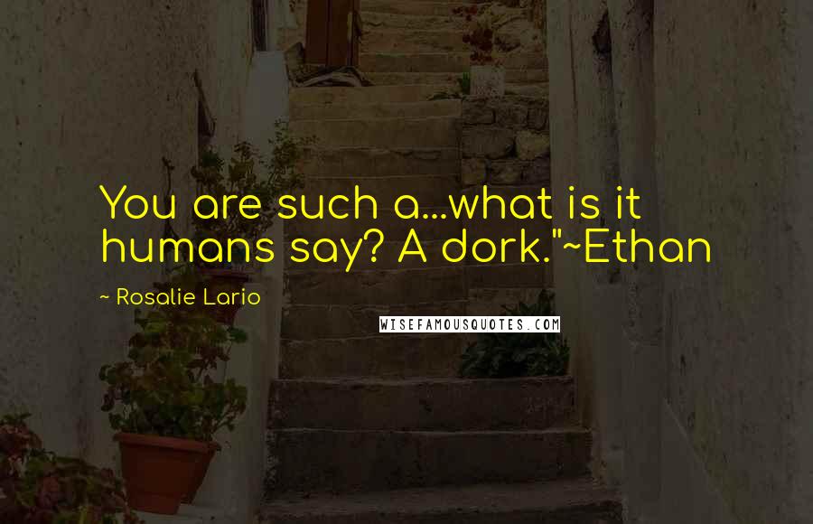 Rosalie Lario Quotes: You are such a...what is it humans say? A dork."~Ethan