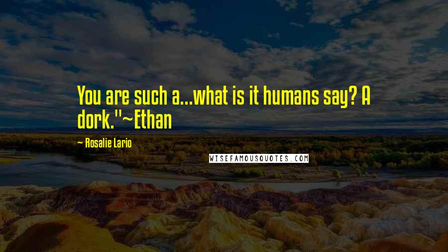 Rosalie Lario Quotes: You are such a...what is it humans say? A dork."~Ethan