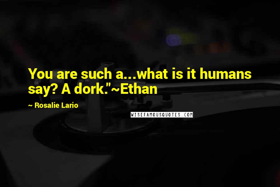 Rosalie Lario Quotes: You are such a...what is it humans say? A dork."~Ethan