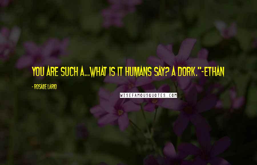 Rosalie Lario Quotes: You are such a...what is it humans say? A dork."~Ethan