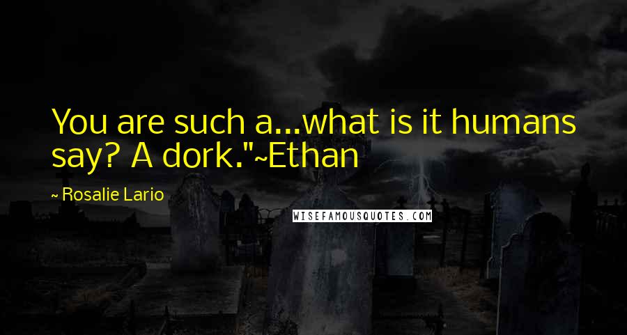 Rosalie Lario Quotes: You are such a...what is it humans say? A dork."~Ethan
