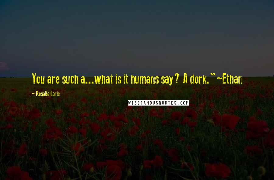 Rosalie Lario Quotes: You are such a...what is it humans say? A dork."~Ethan
