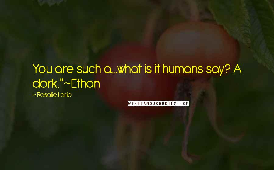 Rosalie Lario Quotes: You are such a...what is it humans say? A dork."~Ethan
