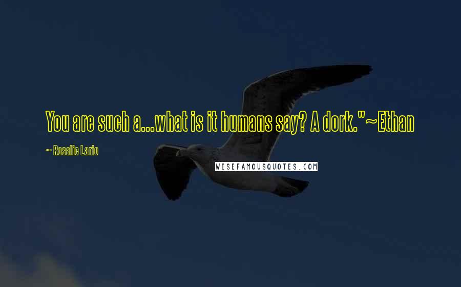Rosalie Lario Quotes: You are such a...what is it humans say? A dork."~Ethan