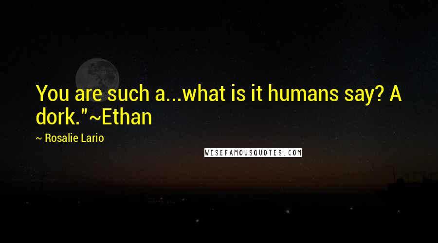 Rosalie Lario Quotes: You are such a...what is it humans say? A dork."~Ethan