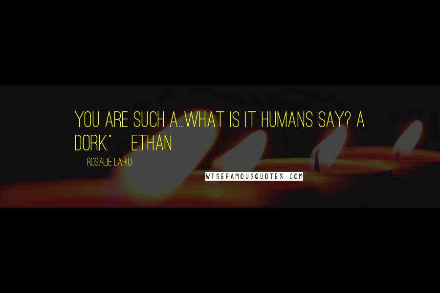 Rosalie Lario Quotes: You are such a...what is it humans say? A dork."~Ethan