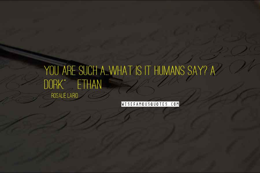 Rosalie Lario Quotes: You are such a...what is it humans say? A dork."~Ethan