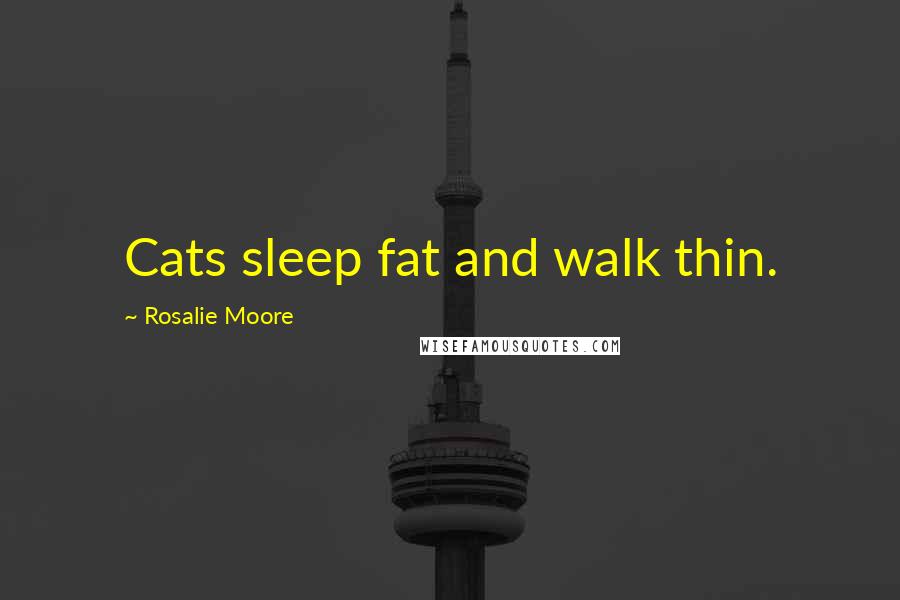 Rosalie Moore Quotes: Cats sleep fat and walk thin.