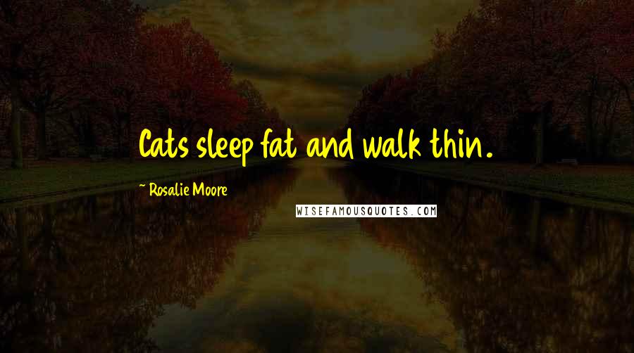 Rosalie Moore Quotes: Cats sleep fat and walk thin.