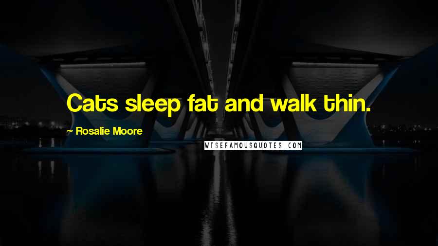 Rosalie Moore Quotes: Cats sleep fat and walk thin.