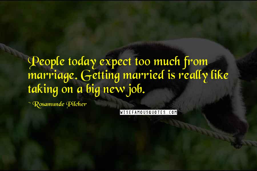 Rosamunde Pilcher Quotes: People today expect too much from marriage. Getting married is really like taking on a big new job.