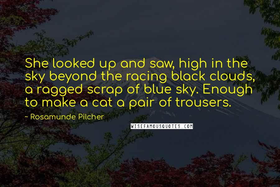 Rosamunde Pilcher Quotes: She looked up and saw, high in the sky beyond the racing black clouds, a ragged scrap of blue sky. Enough to make a cat a pair of trousers.