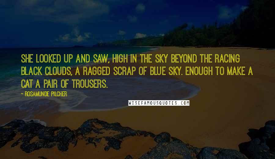 Rosamunde Pilcher Quotes: She looked up and saw, high in the sky beyond the racing black clouds, a ragged scrap of blue sky. Enough to make a cat a pair of trousers.